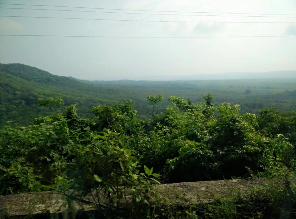 View from the bus