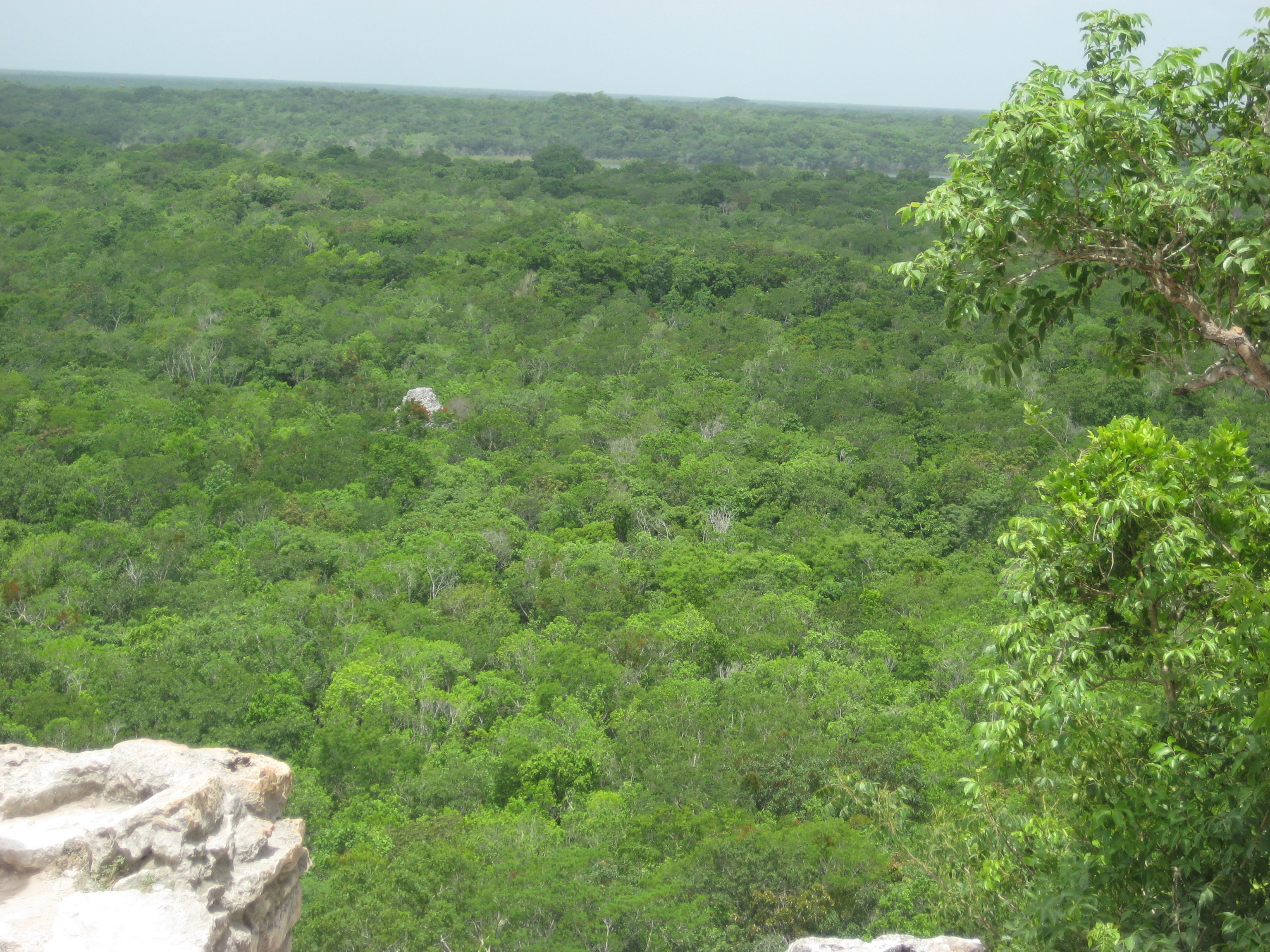 View from top of the pyramid in Coba