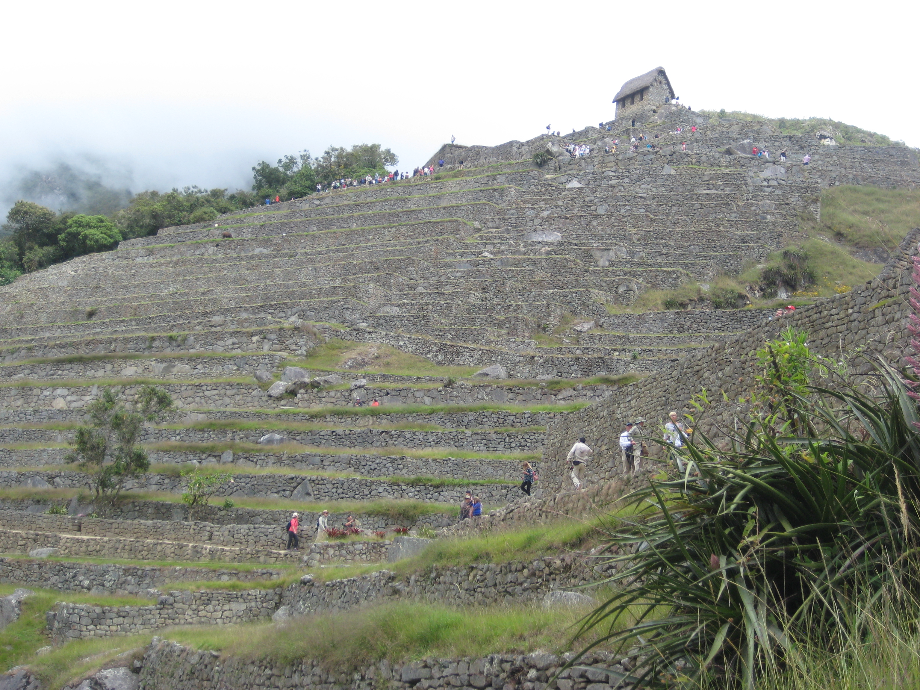 Machu Picchu