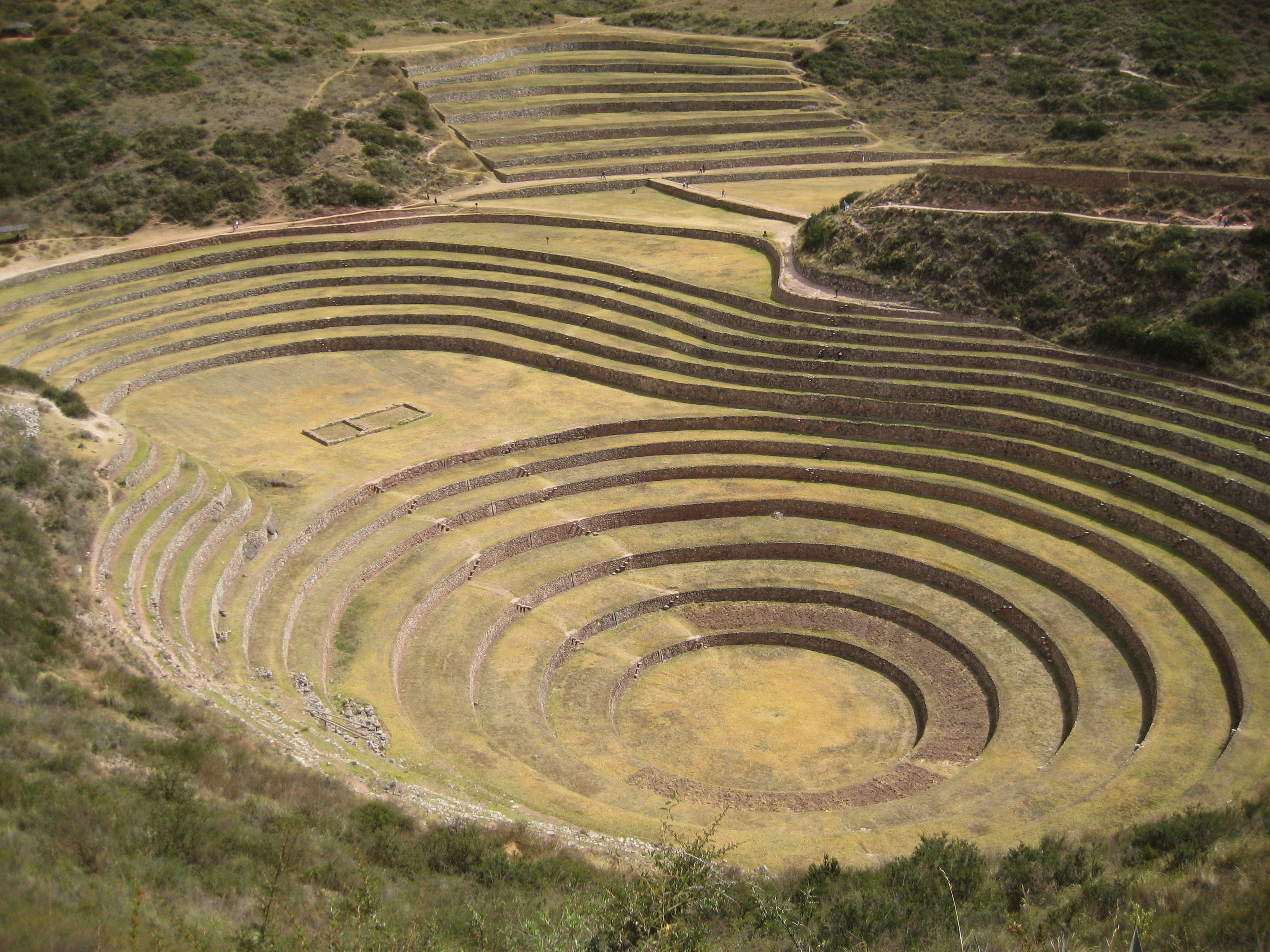 Moray