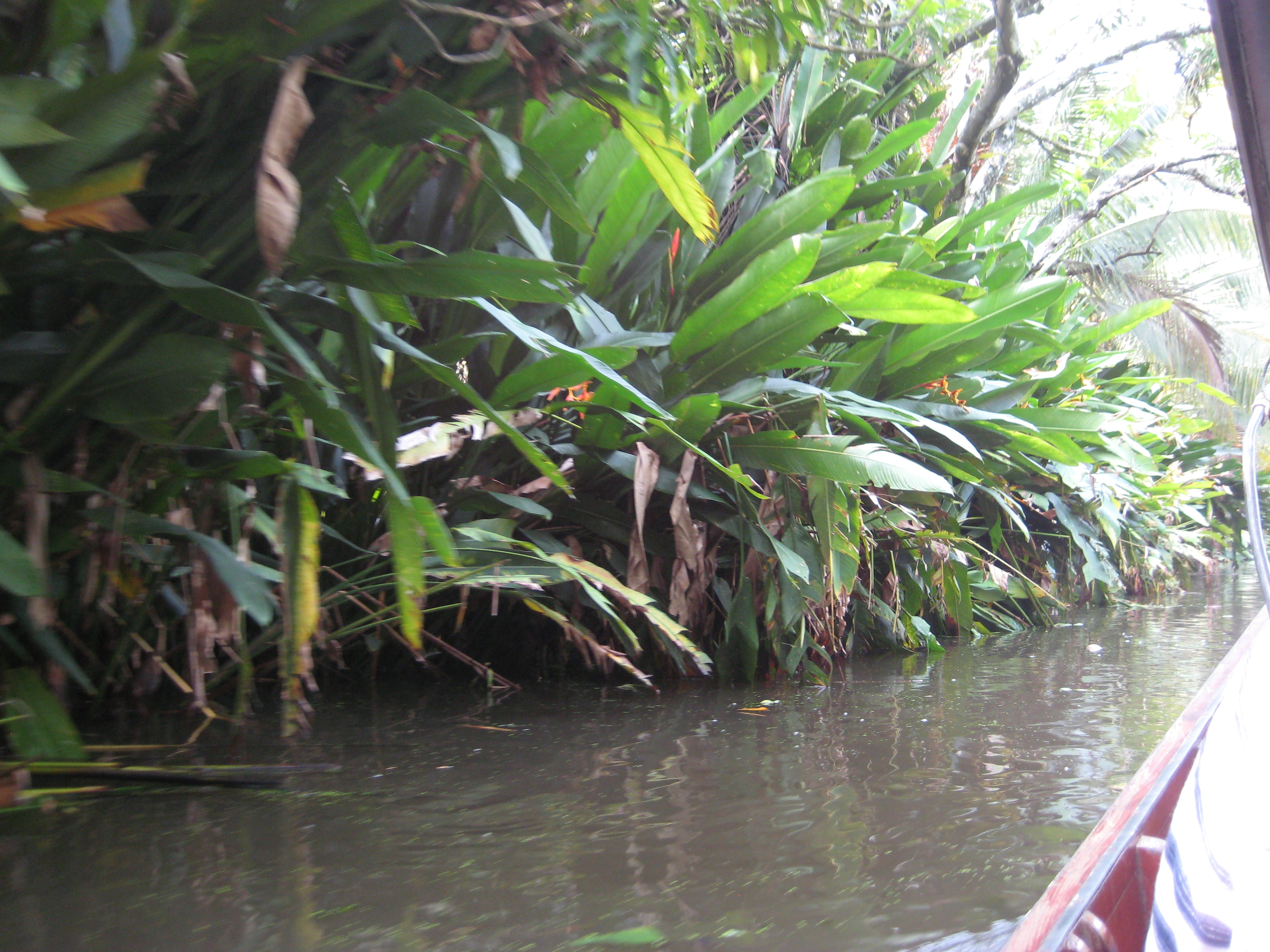 View from the boat